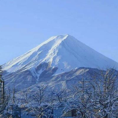 次元召唤师手游小米版下载